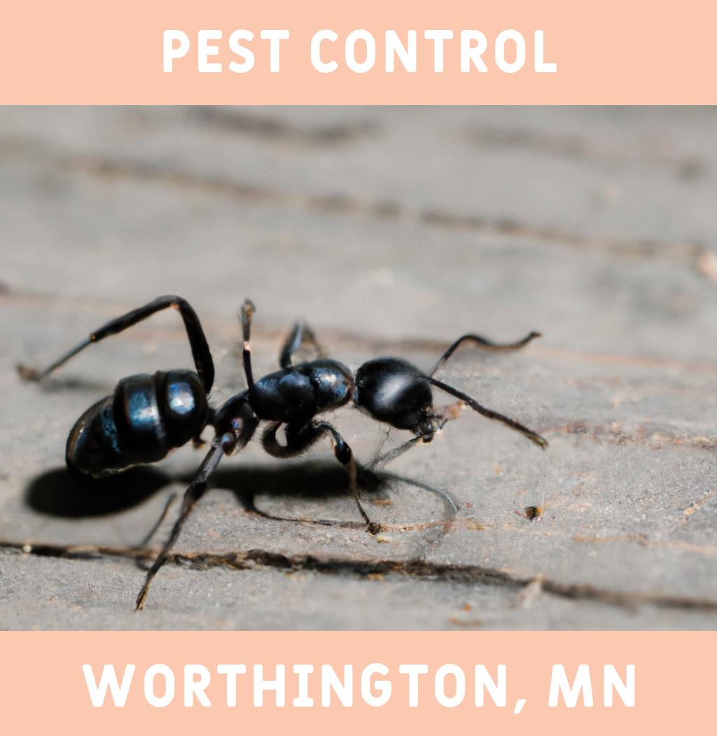 pest control in Worthington Minnesota