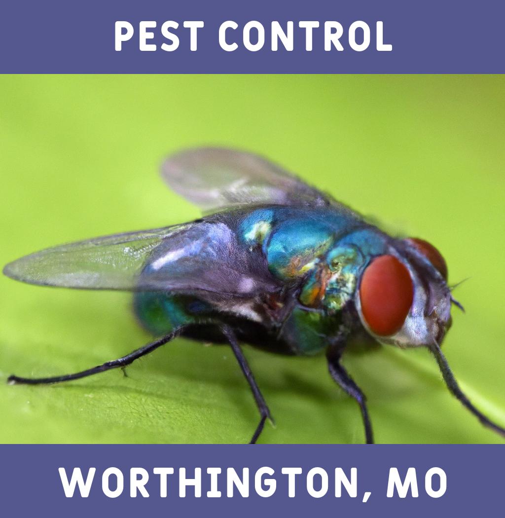 pest control in Worthington Missouri