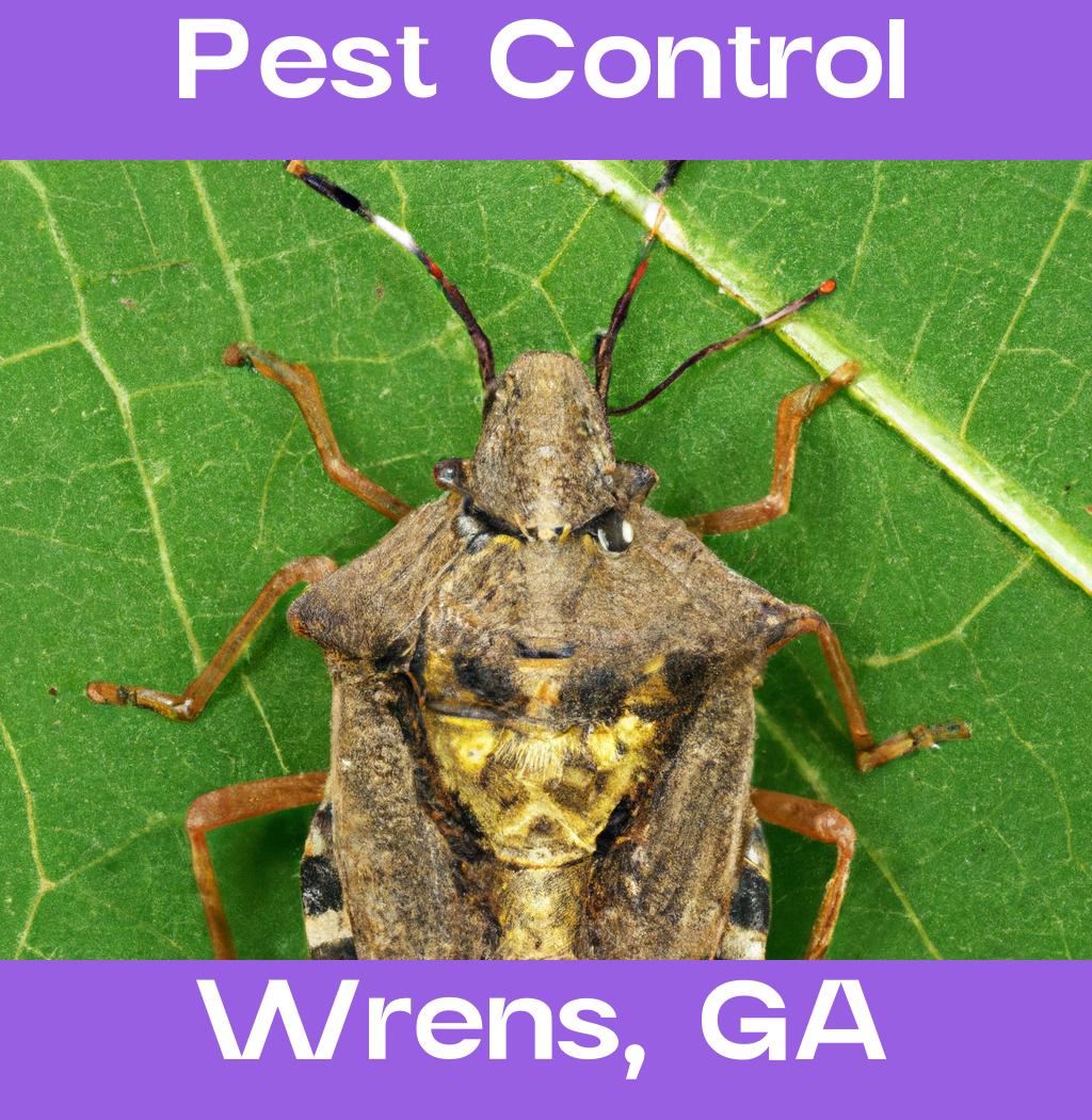 pest control in Wrens Georgia