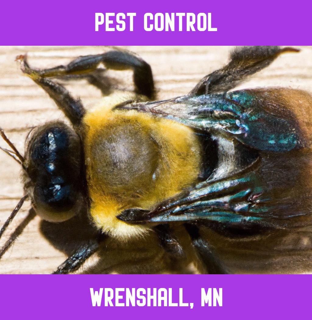 pest control in Wrenshall Minnesota