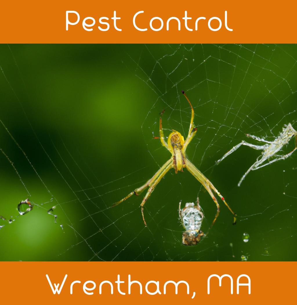 pest control in Wrentham Massachusetts