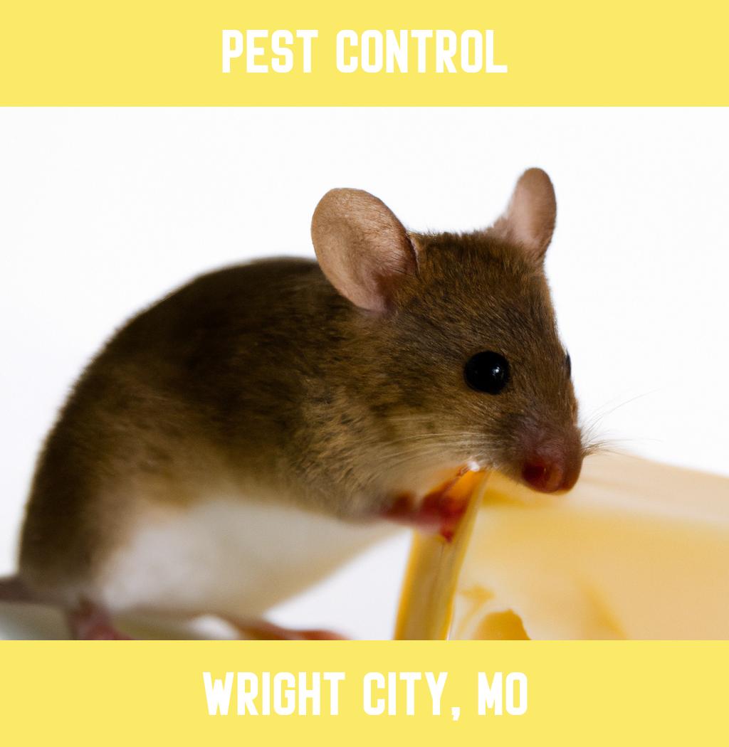 pest control in Wright City Missouri