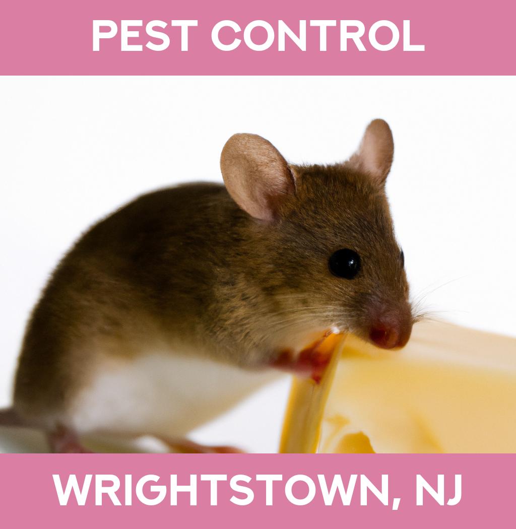 pest control in Wrightstown New Jersey