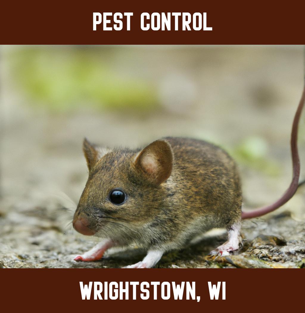 pest control in Wrightstown Wisconsin