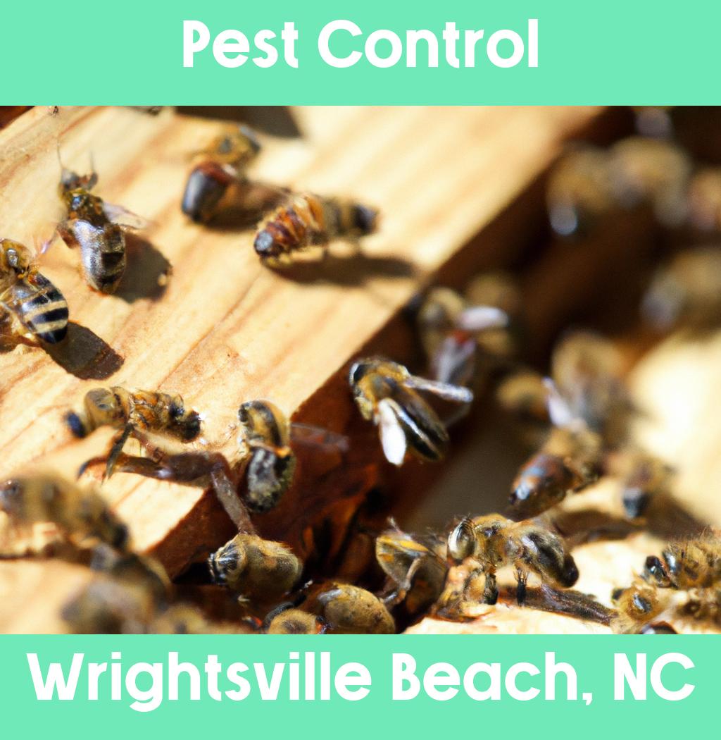 pest control in Wrightsville Beach North Carolina