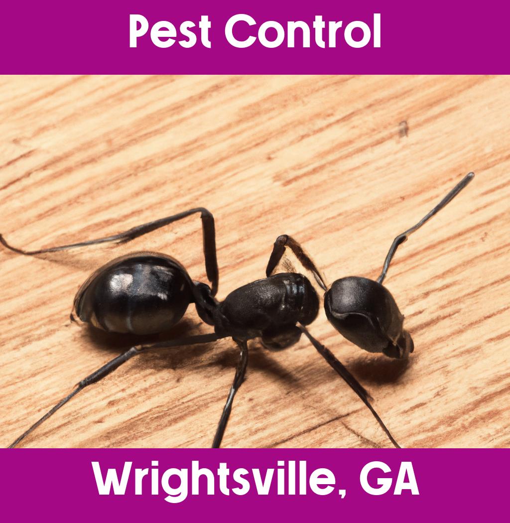 pest control in Wrightsville Georgia