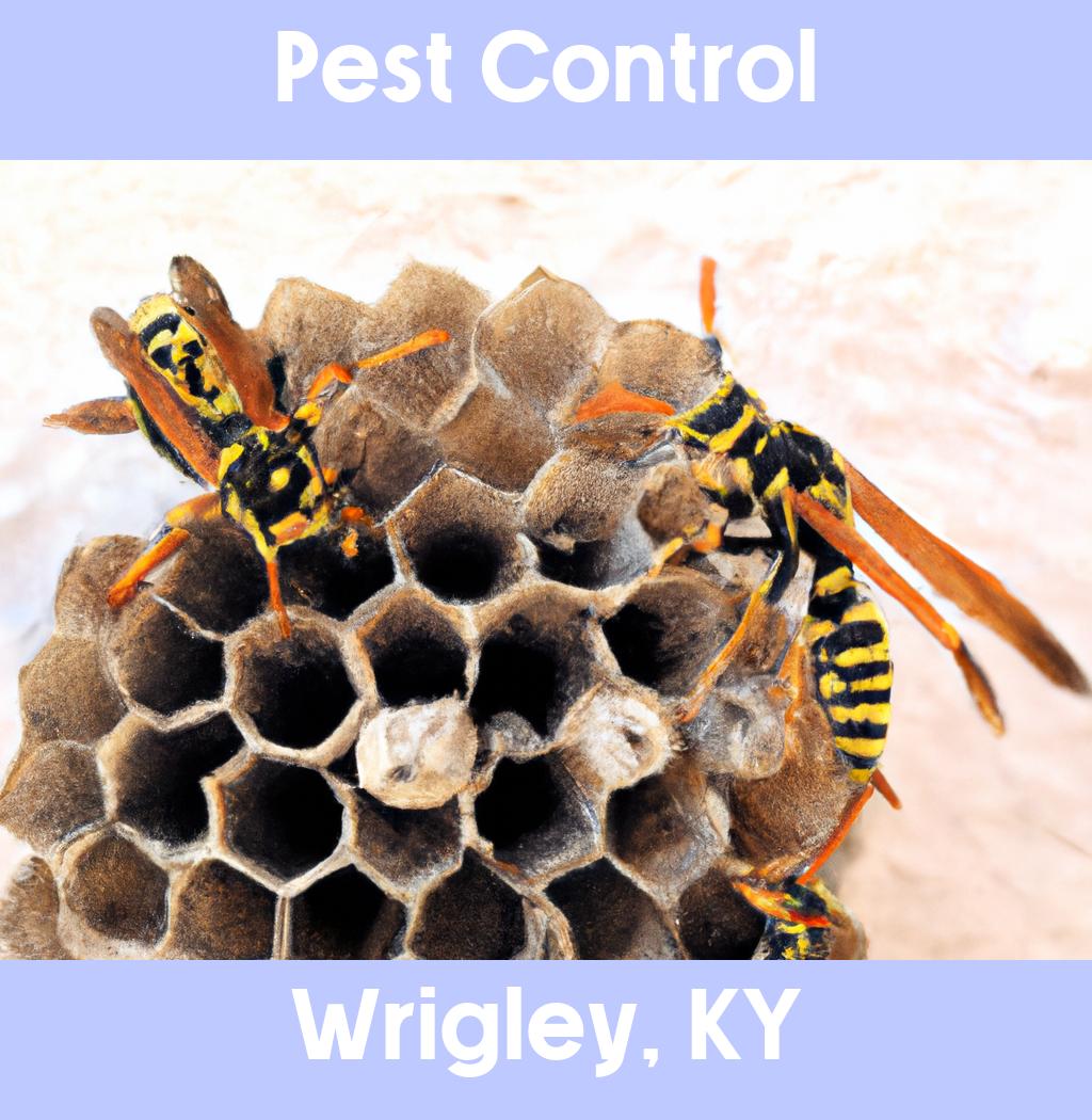 pest control in Wrigley Kentucky