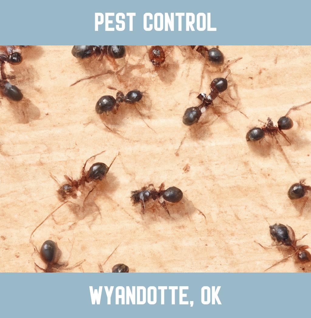 pest control in Wyandotte Oklahoma