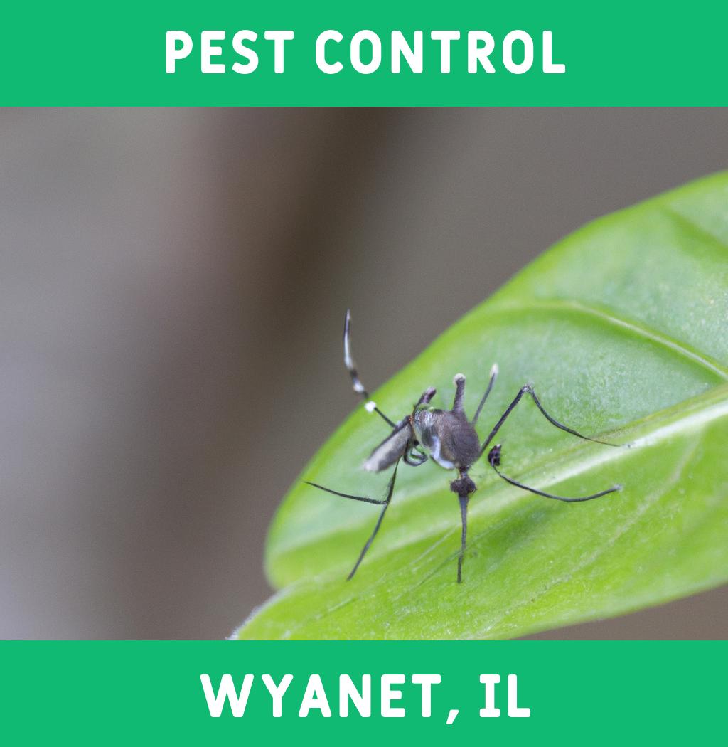 pest control in Wyanet Illinois