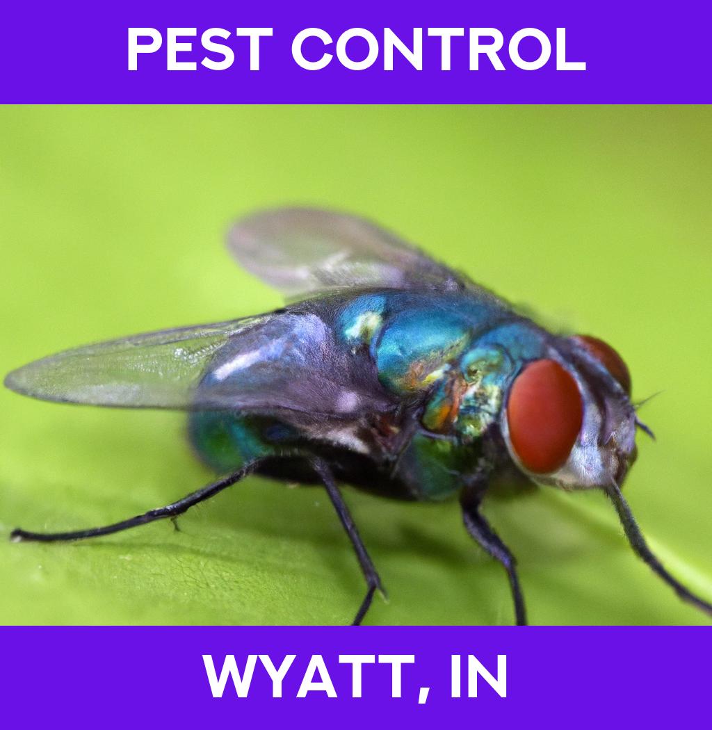 pest control in Wyatt Indiana