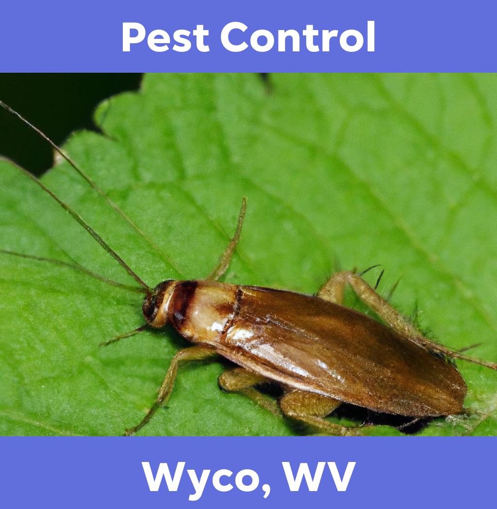 pest control in Wyco West Virginia