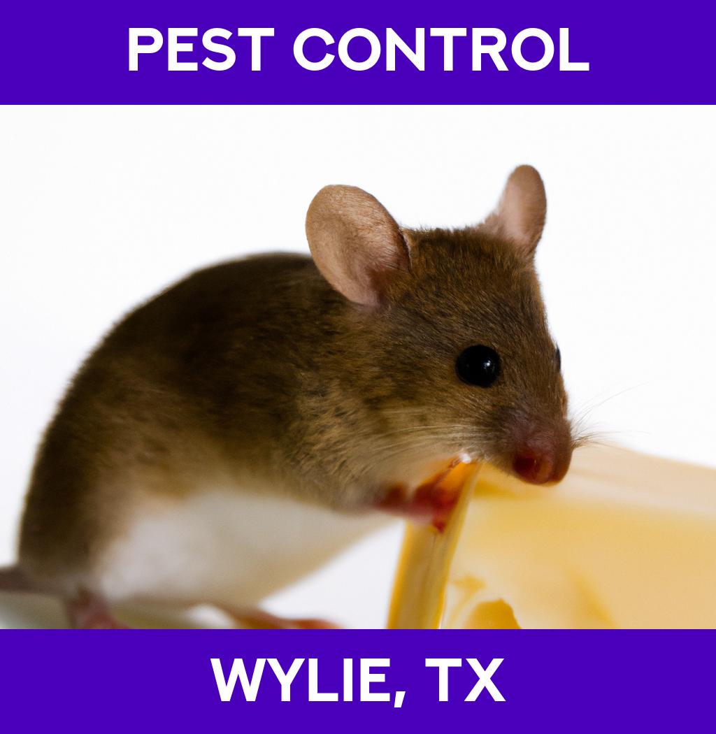 pest control in Wylie Texas