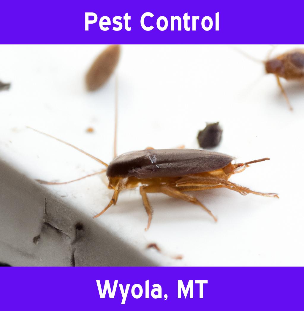 pest control in Wyola Montana