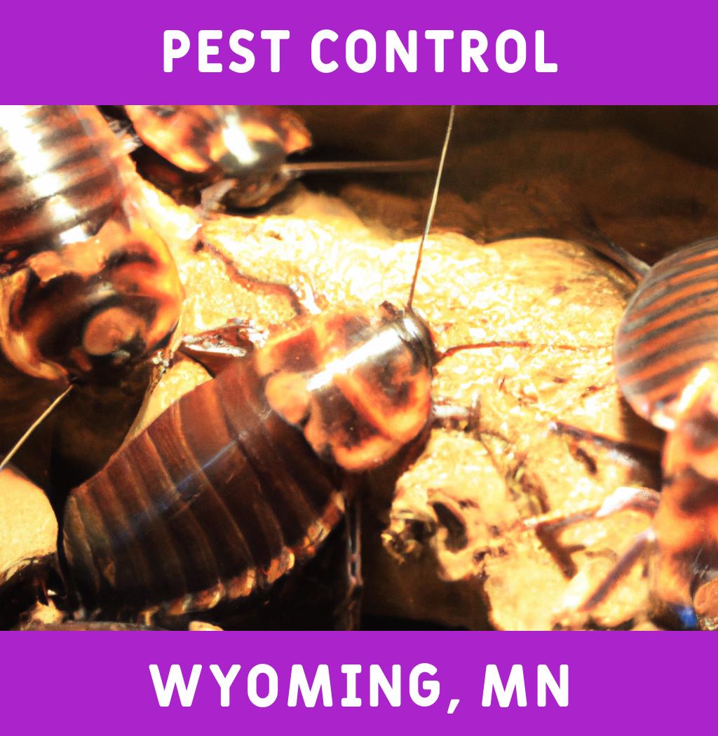 pest control in Wyoming Minnesota