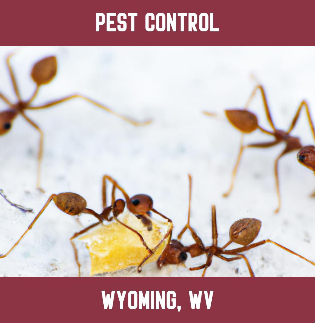 pest control in Wyoming West Virginia