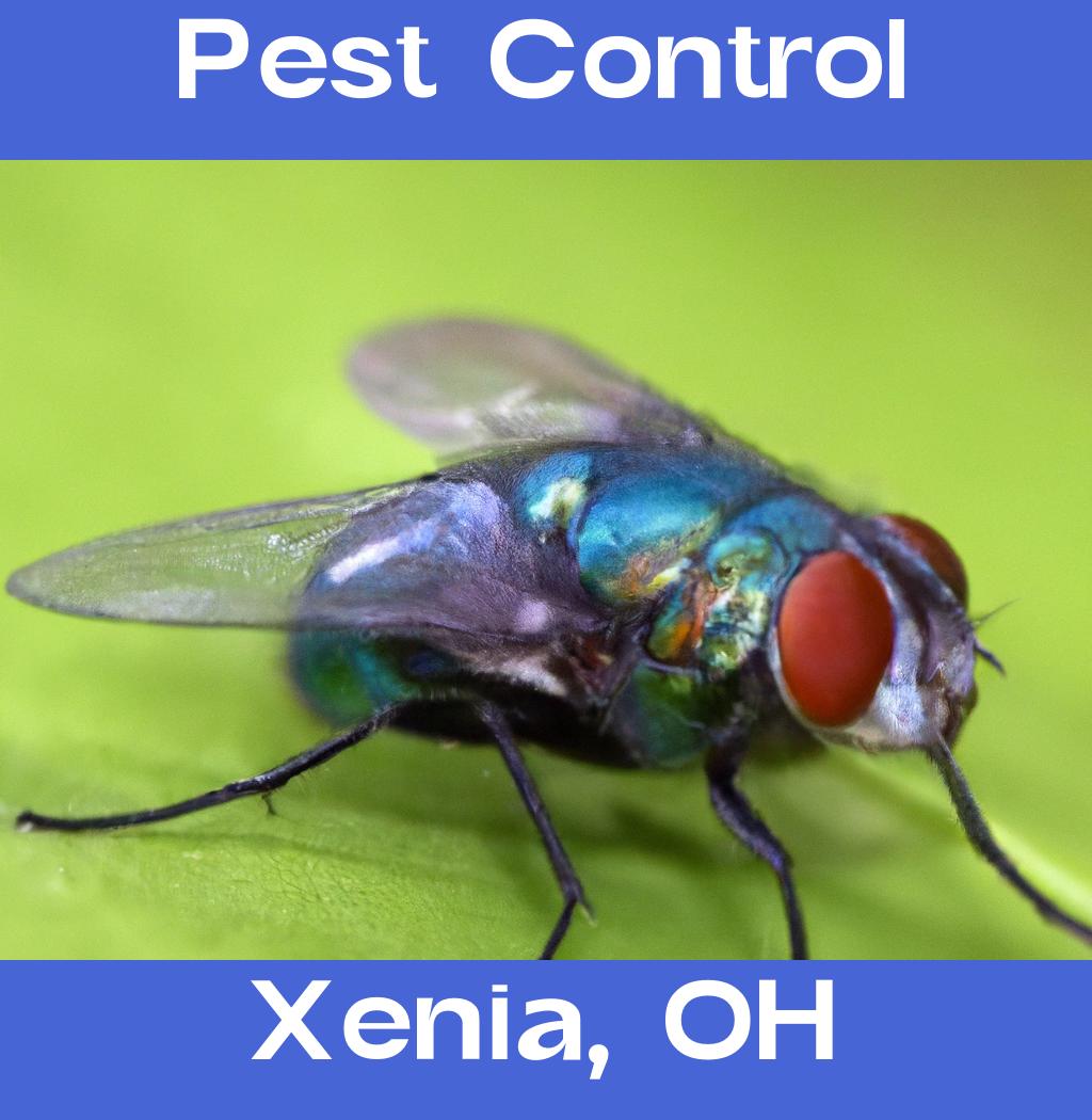 pest control in Xenia Ohio