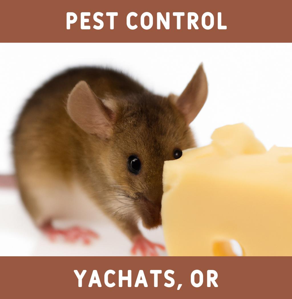 pest control in Yachats Oregon
