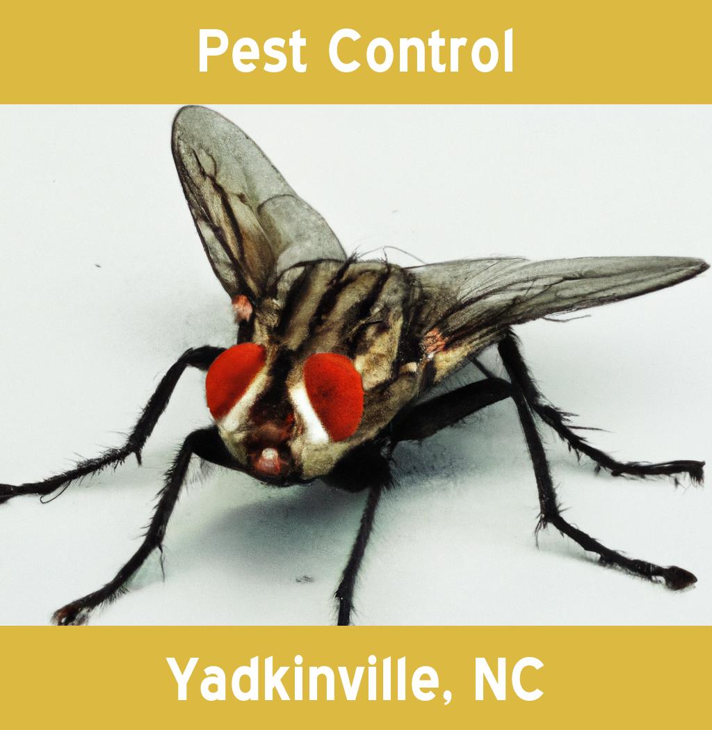 pest control in Yadkinville North Carolina