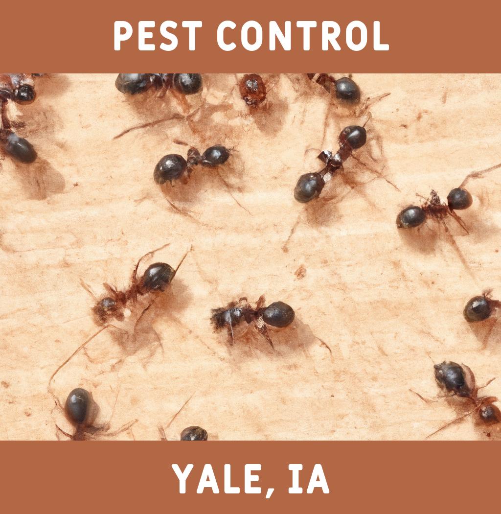 pest control in Yale Iowa