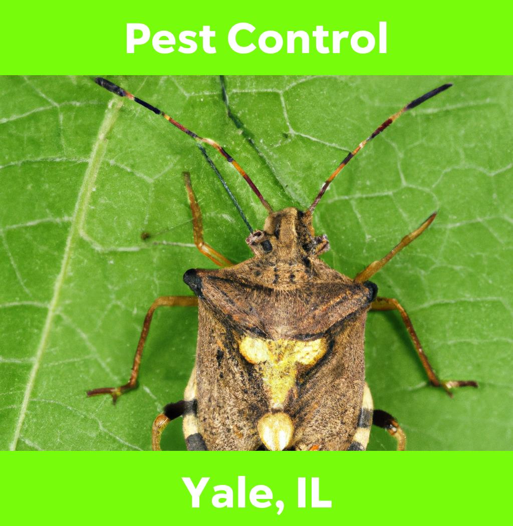 pest control in Yale Illinois