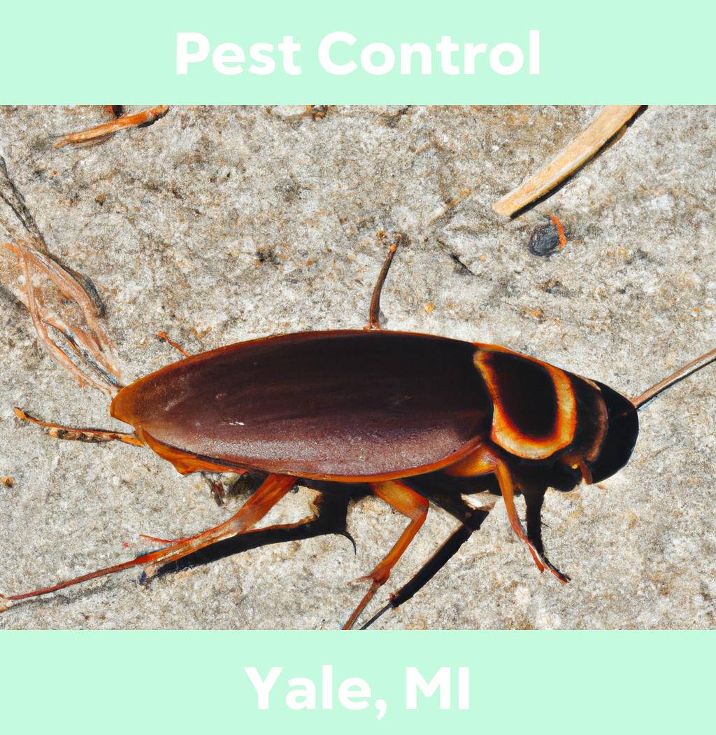 pest control in Yale Michigan