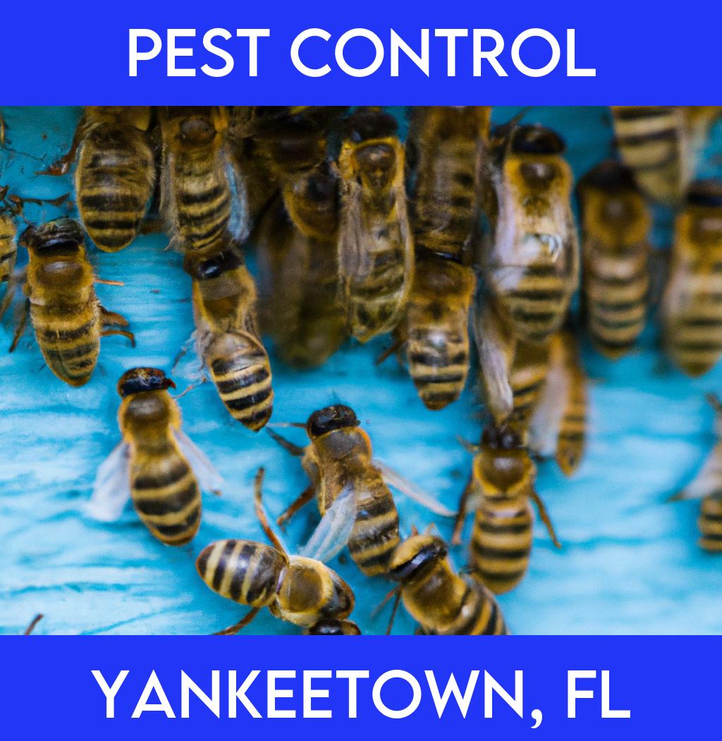 pest control in Yankeetown Florida