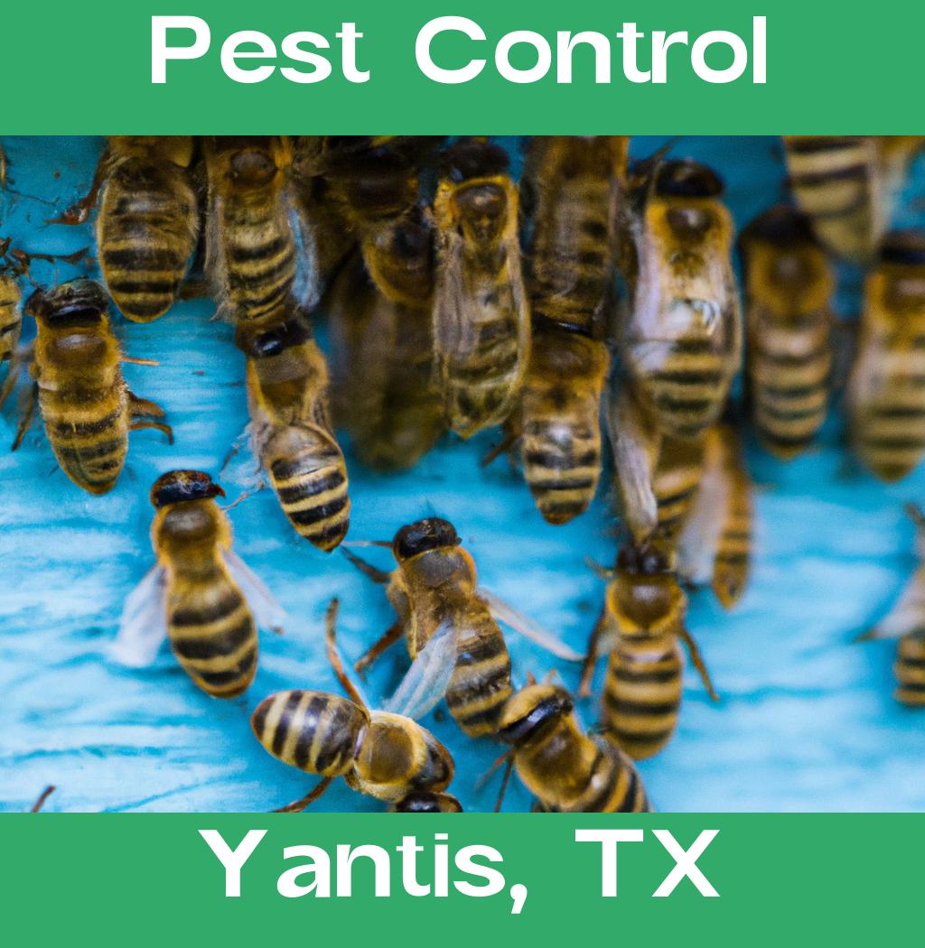 pest control in Yantis Texas