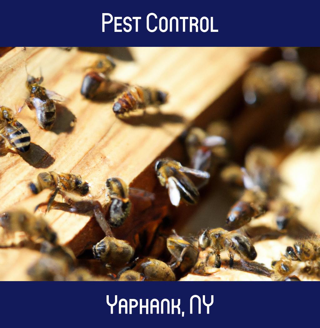 pest control in Yaphank New York