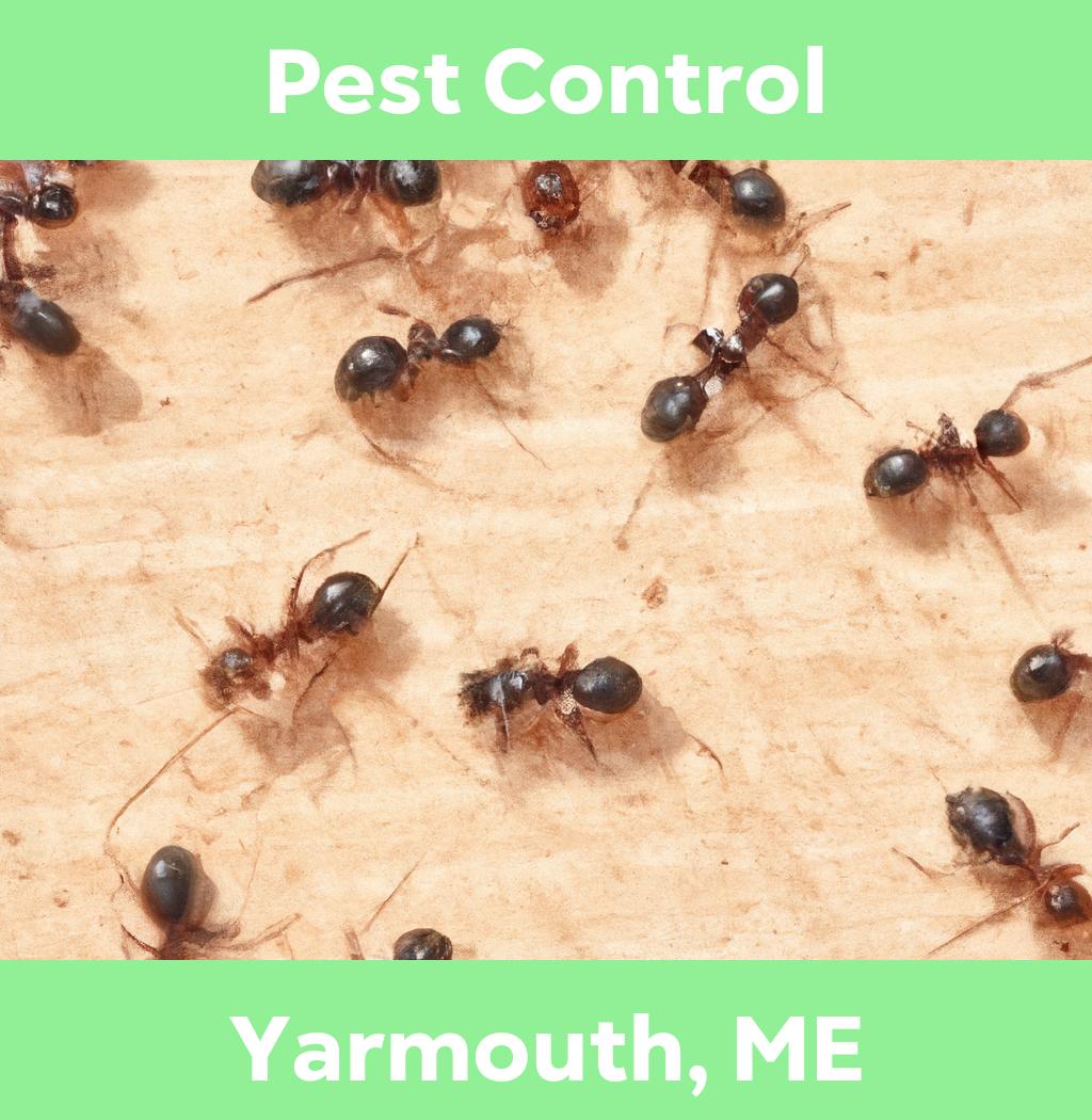 pest control in Yarmouth Maine