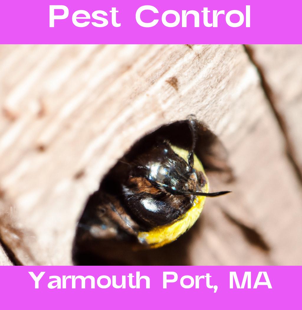 pest control in Yarmouth Port Massachusetts