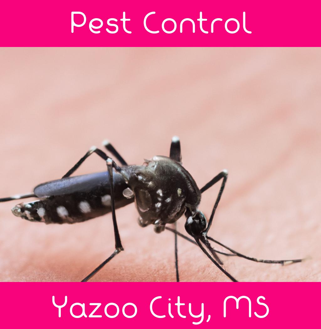 pest control in Yazoo City Mississippi