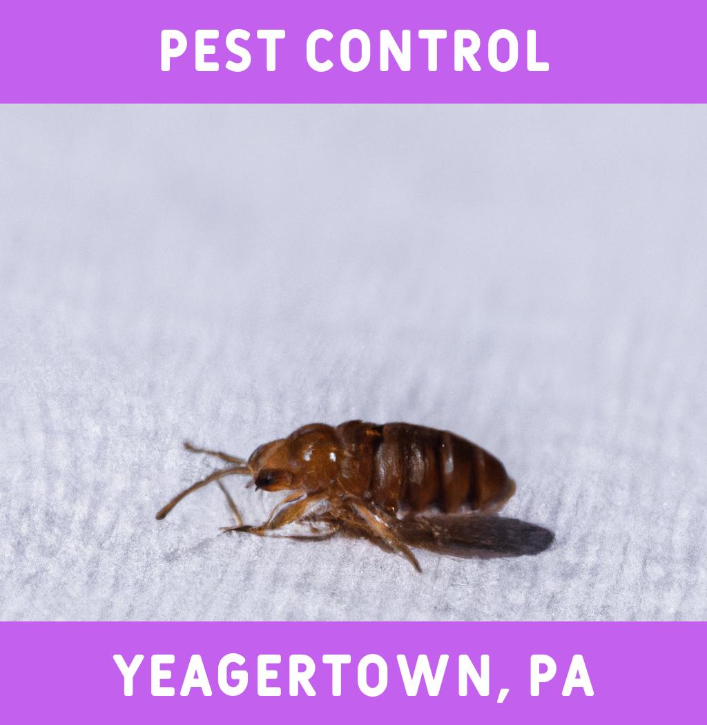 pest control in Yeagertown Pennsylvania