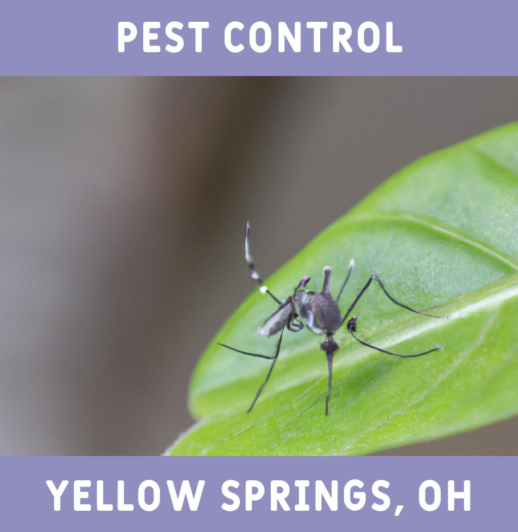 pest control in Yellow Springs Ohio