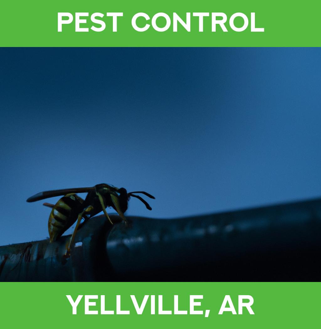 pest control in Yellville Arkansas