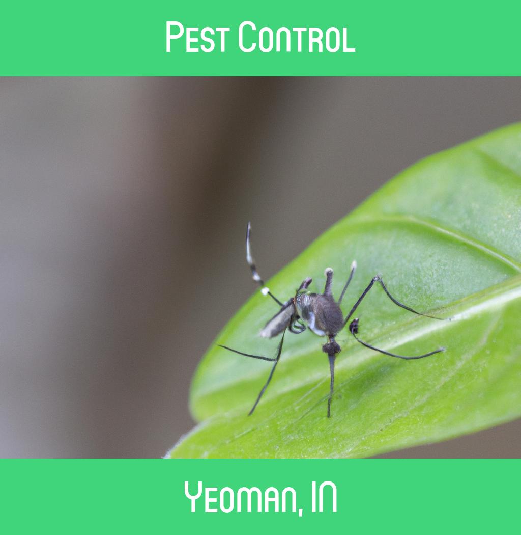 pest control in Yeoman Indiana