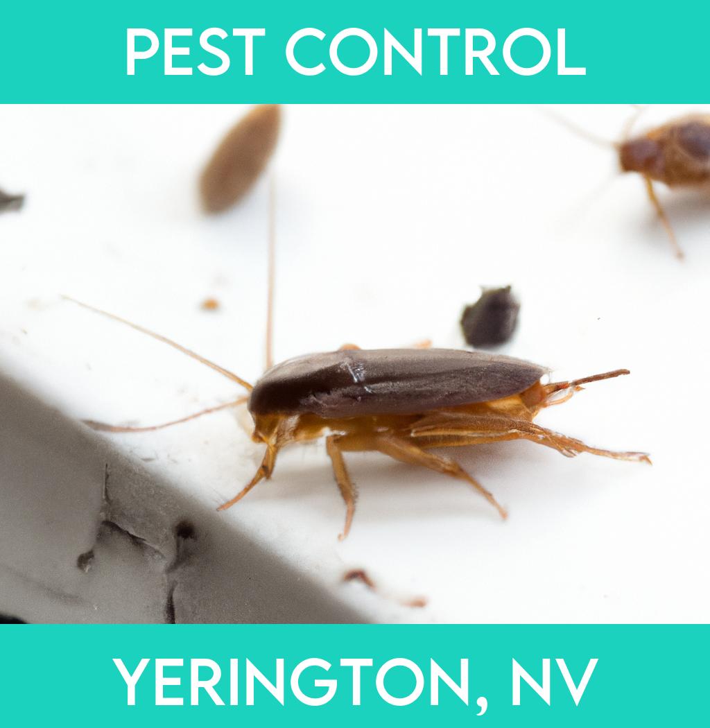 pest control in Yerington Nevada