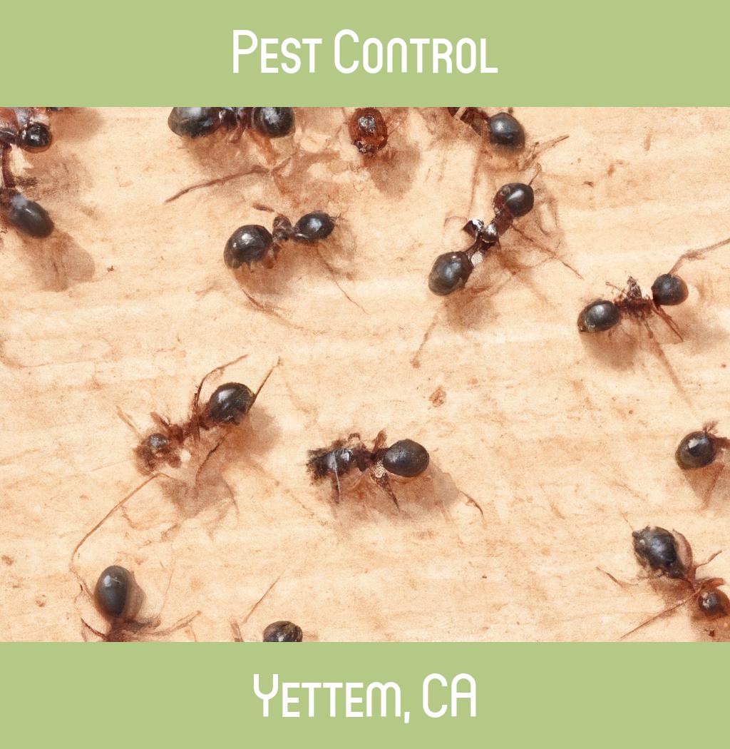 pest control in Yettem California