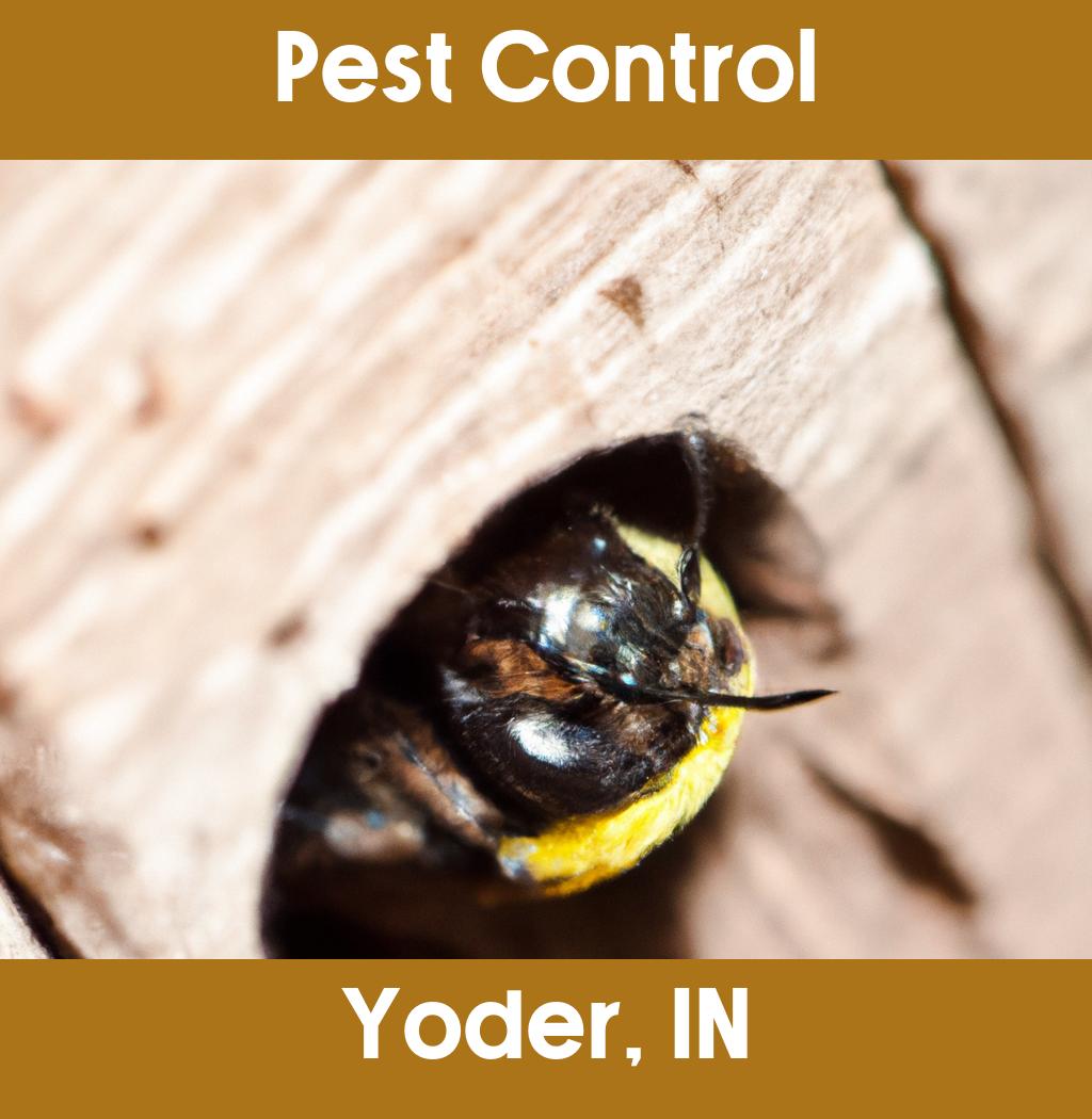 pest control in Yoder Indiana