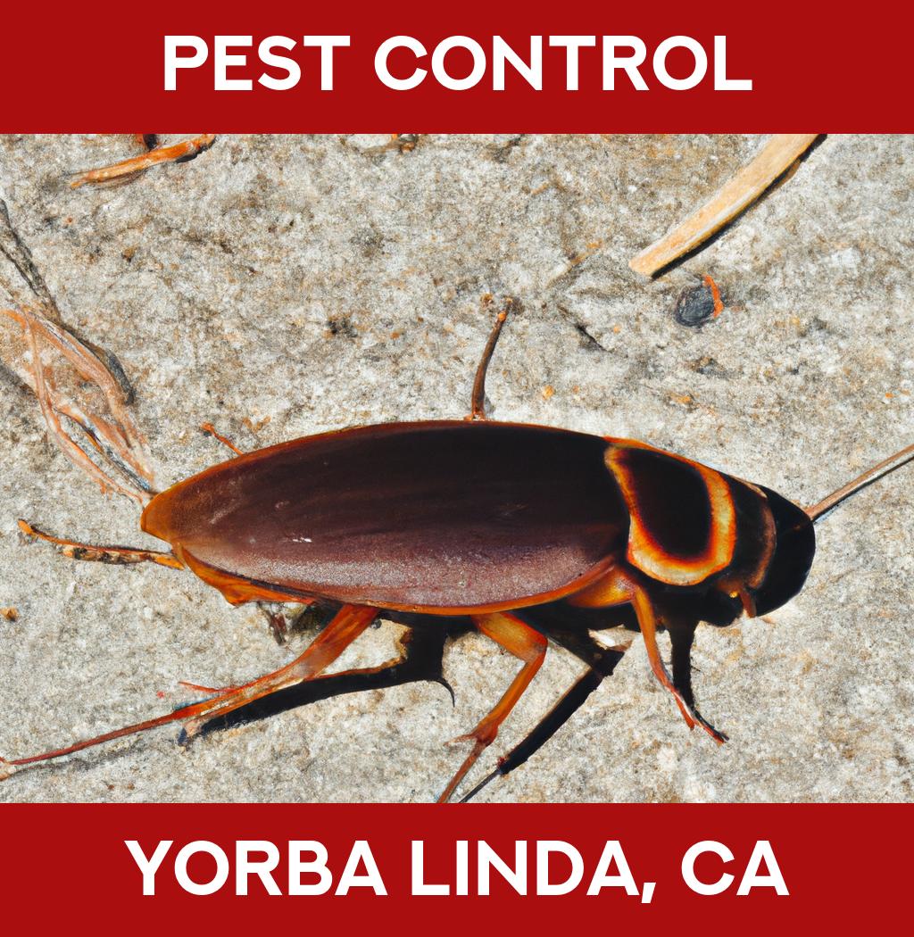 pest control in Yorba Linda California