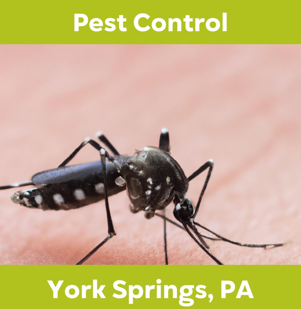 pest control in York Springs Pennsylvania