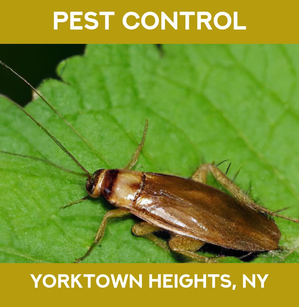 pest control in Yorktown Heights New York