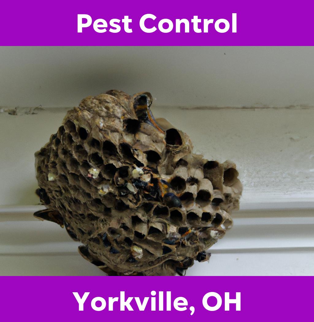 pest control in Yorkville Ohio