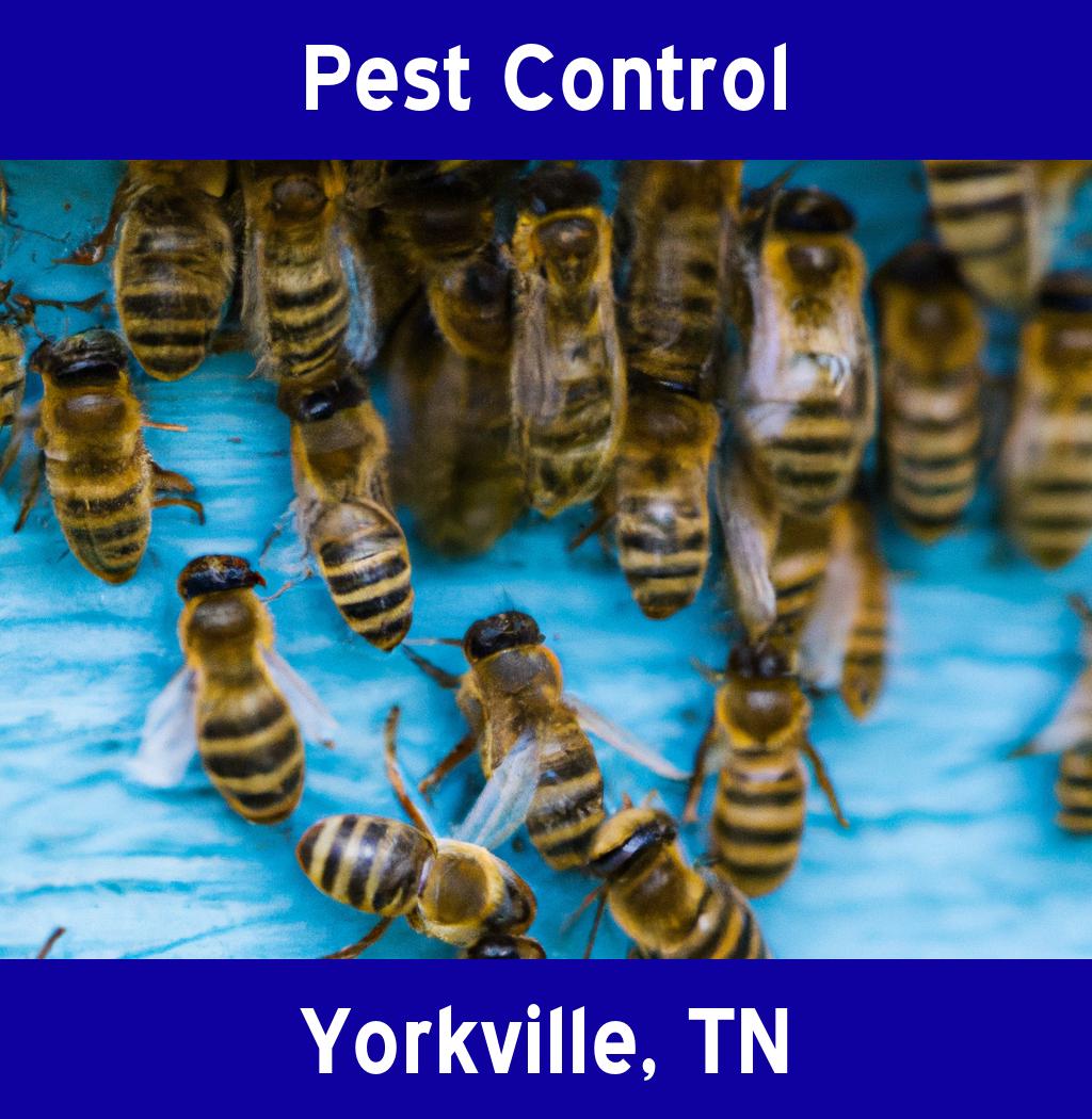 pest control in Yorkville Tennessee