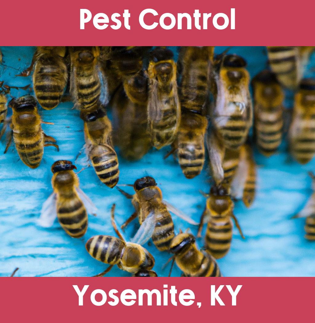 pest control in Yosemite Kentucky