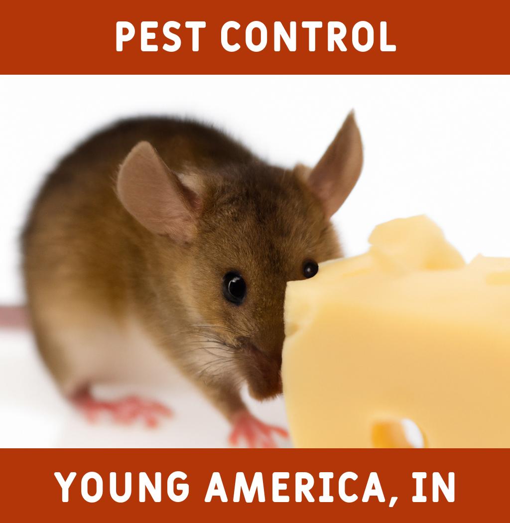 pest control in Young America Indiana