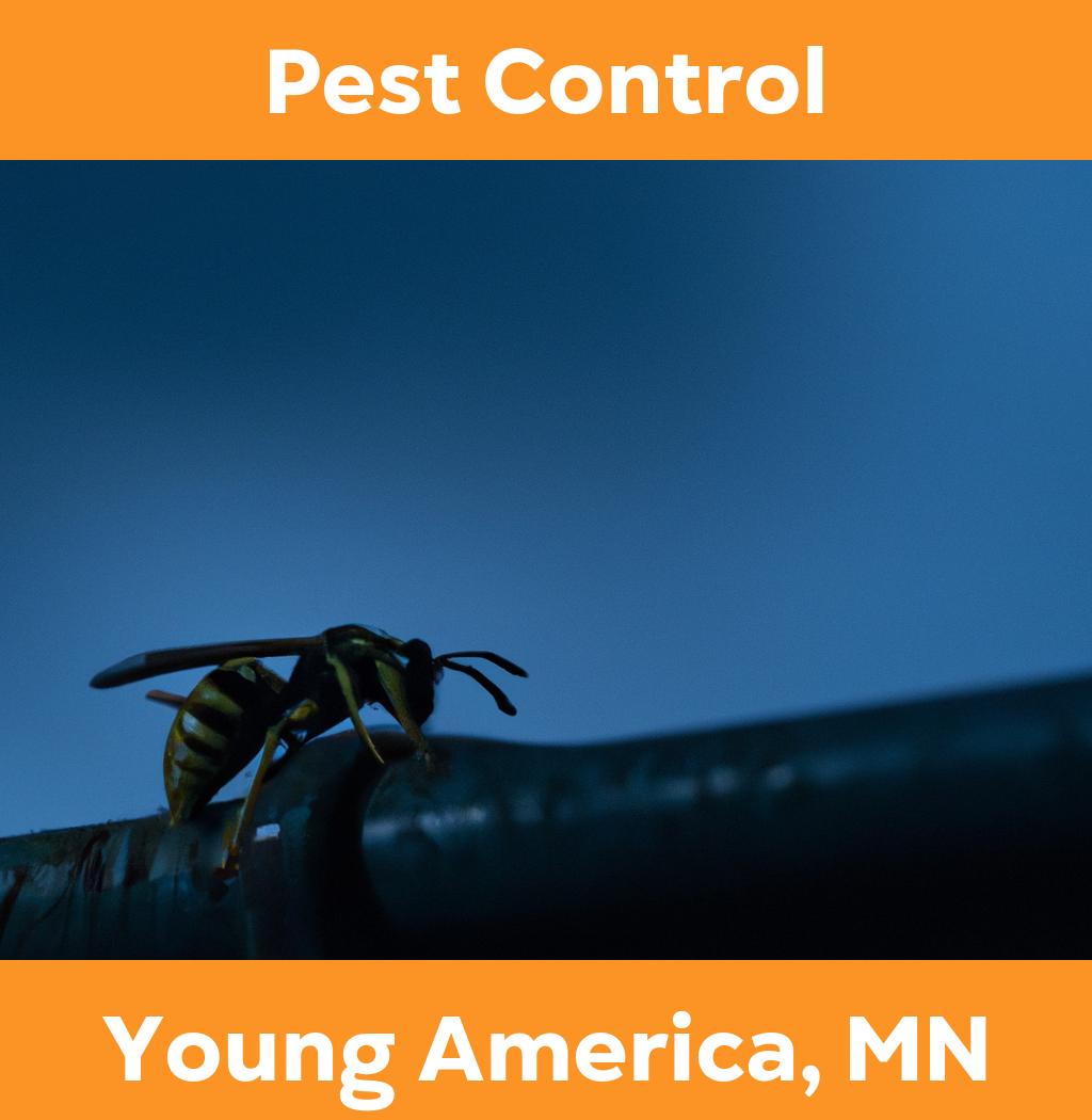 pest control in Young America Minnesota