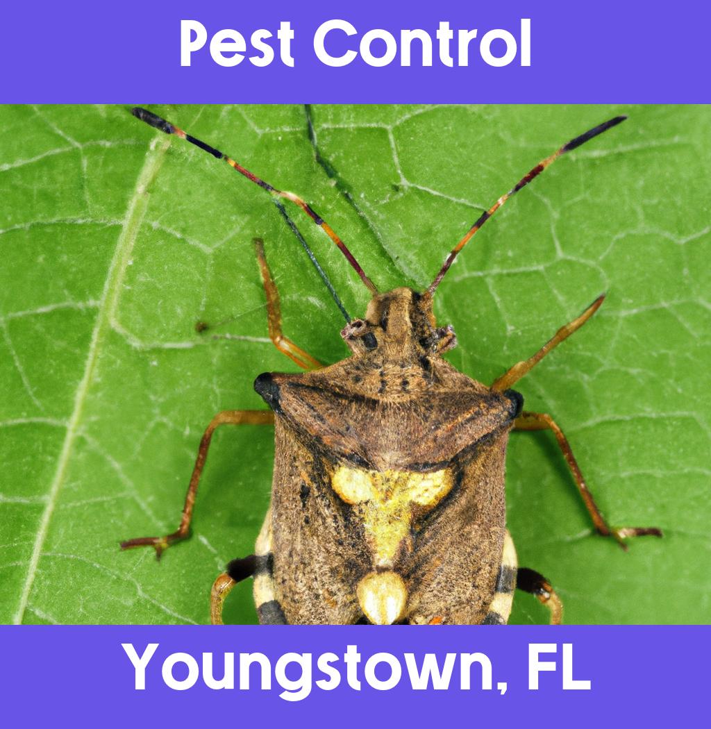 pest control in Youngstown Florida