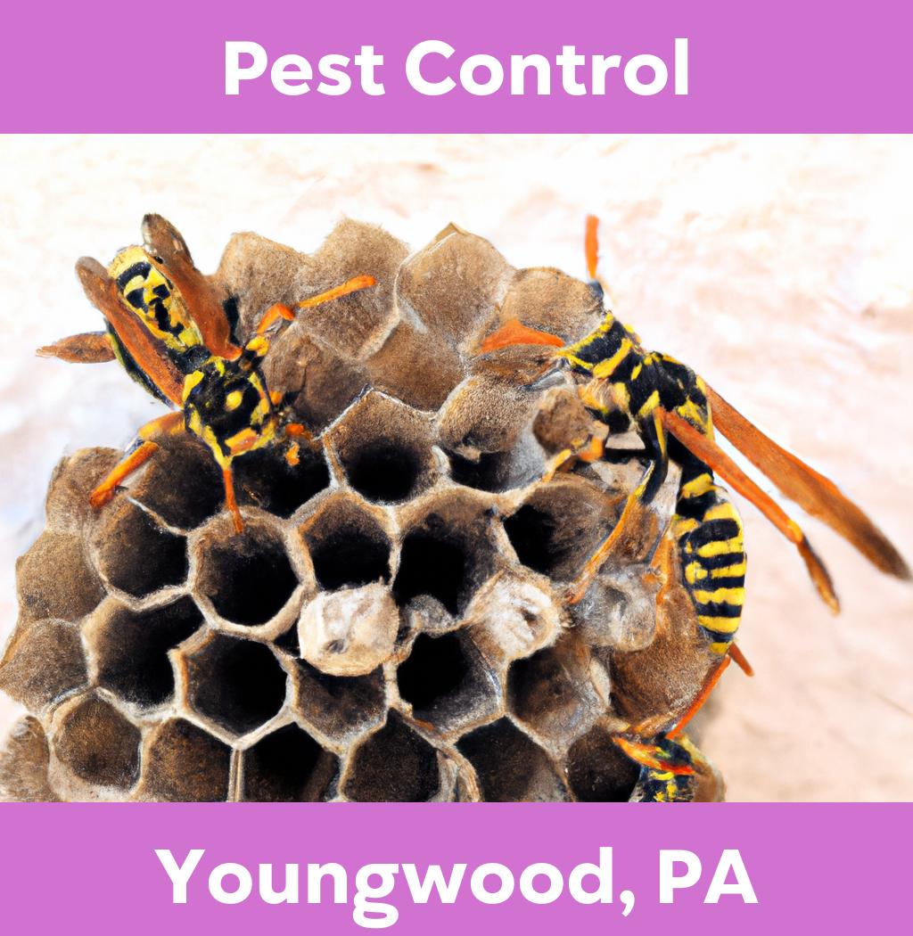 pest control in Youngwood Pennsylvania