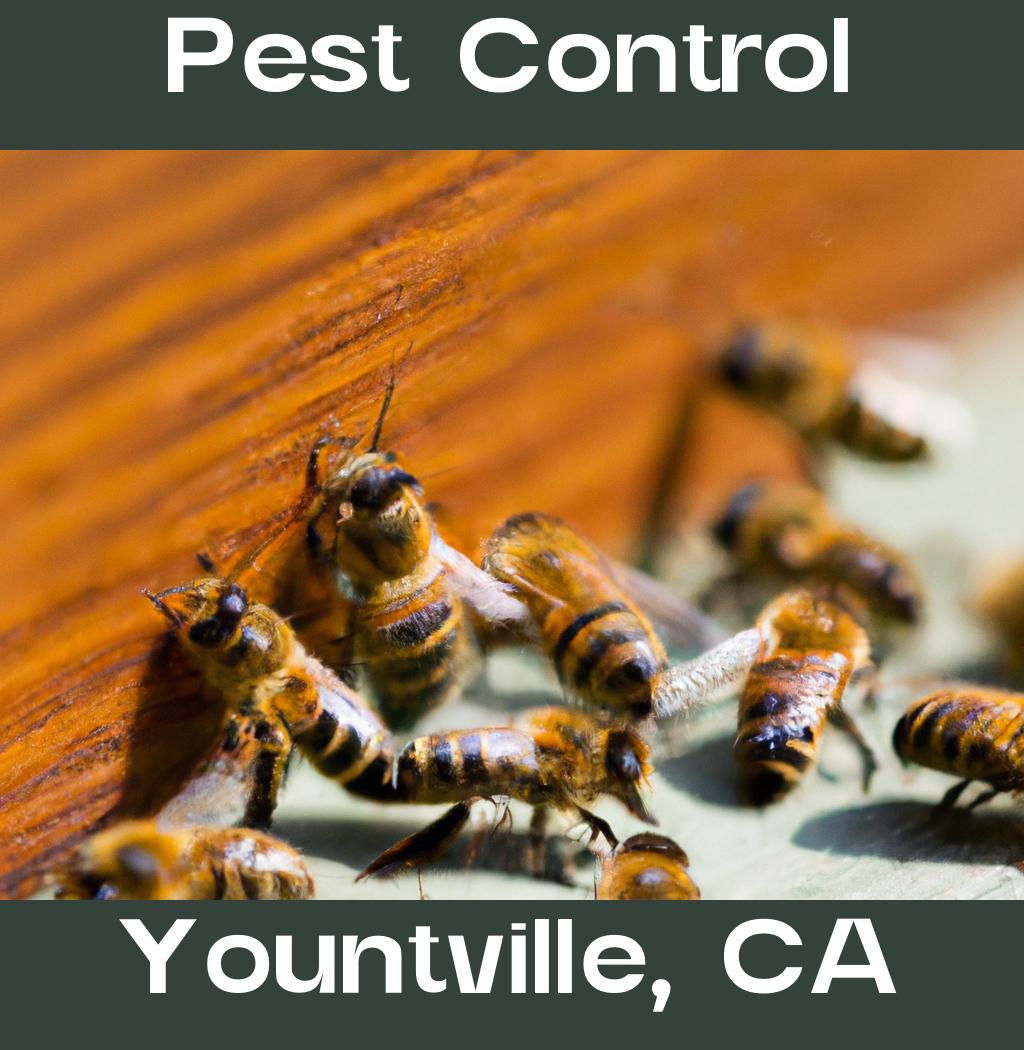 pest control in Yountville California