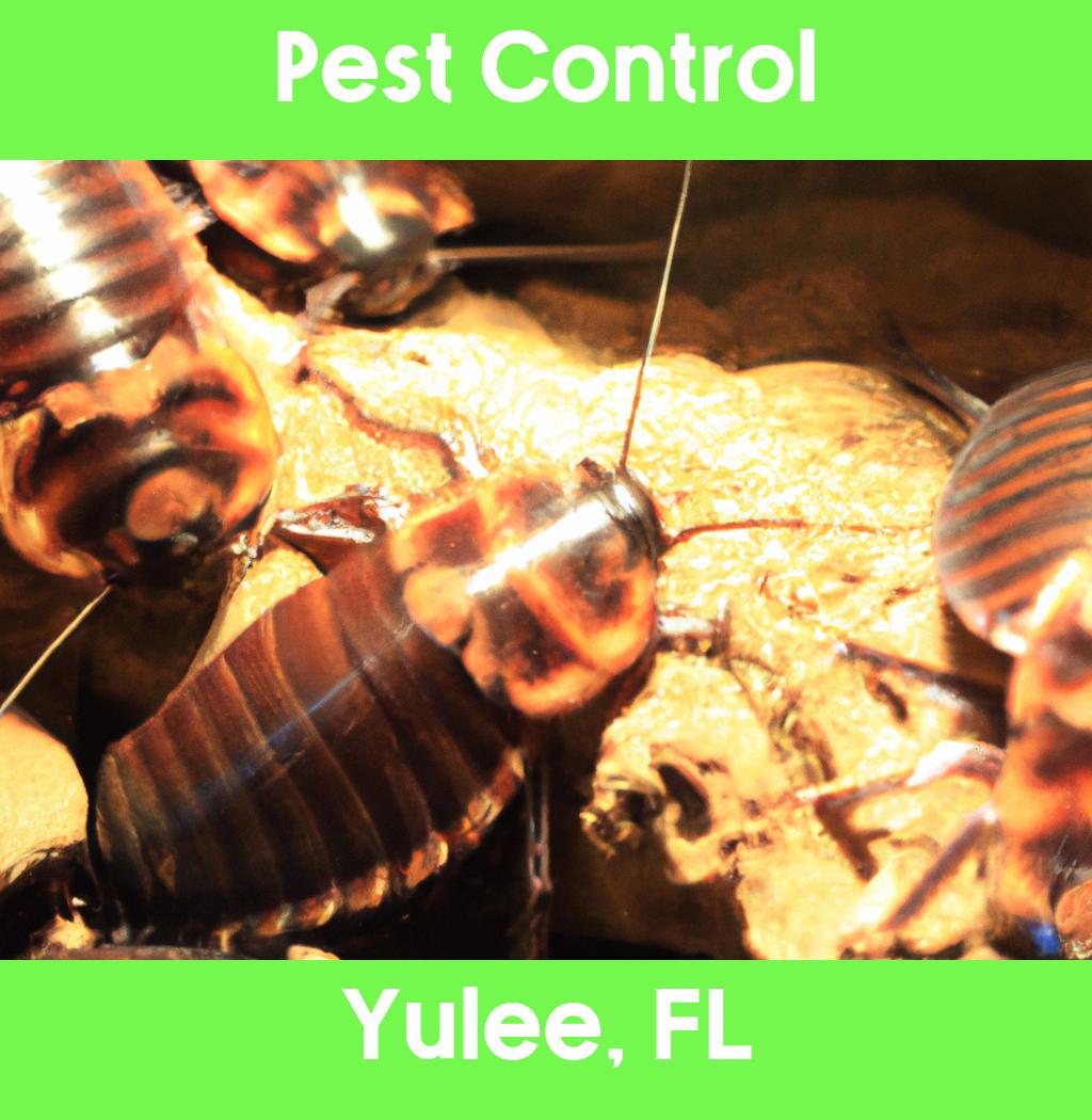 pest control in Yulee Florida